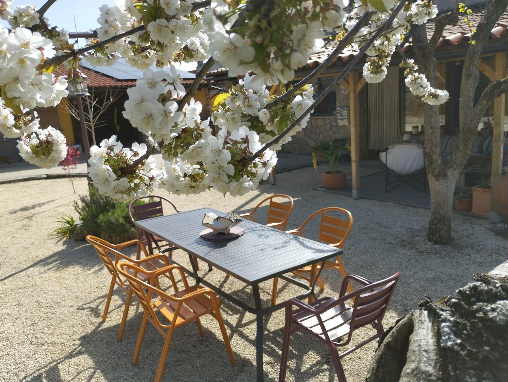 Apartamento Rural Se De Un Lugar El Torno  Exterior photo
